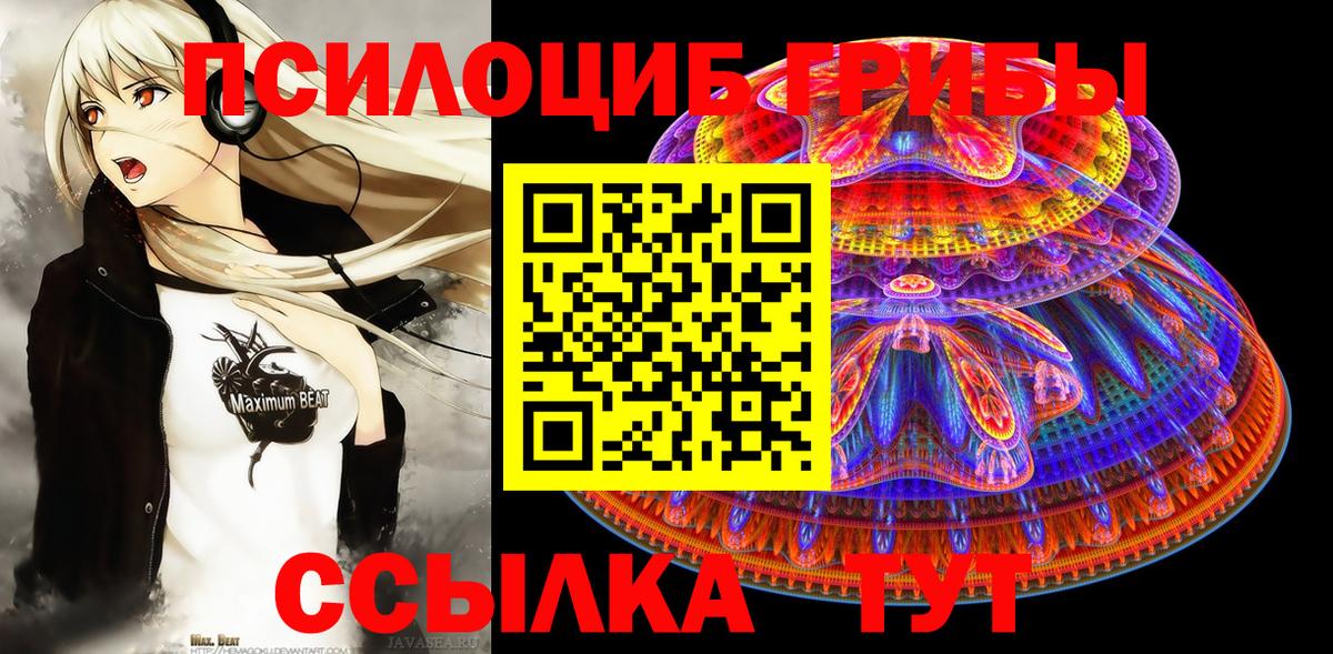 Галлюциногенные грибы MAGIC MUSHROOMS  Вход с VPN  Арзамас  Псилоцибиновые грибы Psilocybine cubensis 
