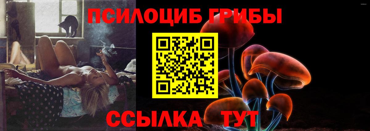 Галлюциногенные грибы мицелий Арзамас